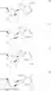 Fig. 09 - ANTIVIRAL AGENTS
