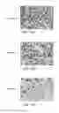 Fig. 08 - Single-stranded nucleic acid molecule for controlling gene expression