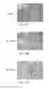 Fig. 09 - Single-stranded nucleic acid molecule for controlling gene expression