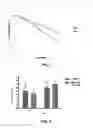 Fig. 02 - Ophthalmic compositions based on polyunsaturated omega-3 and omega-6 fatty acids
