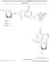 Fig. 06 - Preparation of 2-chloro-9-(2′-deoxy-2′-fluoro-β-D-arabinofuranosyl)-adenine