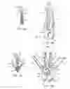 Fig. 06 - METHODS AND DEVICES FOR TISSUE GRASPING AND ASSESSMENT