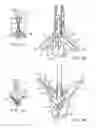 Fig. 07 - METHODS AND DEVICES FOR TISSUE GRASPING AND ASSESSMENT