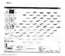 Fig. 06 - PHOTOBIOLOGICAL MEASURING DEVICE AND ANALYZING METHOD