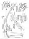 Fig. 28 - Medical Instrument