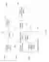 Fig. 19 - SYSTEM FOR TARGETING ADVERTISING CONTENT TO A PLURALITY OF MOBILE COMMUNICATION FACILITIES