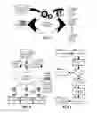 Fig. 02 - PROXIED CONSUMER E-COMMERCE TRANSACTIONS