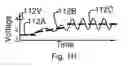 Fig. 06 - ACOUSTIC, HYPERACOUSTIC, OR ELECTRICALLY AMPLIFIED HYDRAULOPHONES OR MULTIMEDIA INTERFACES
