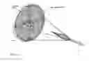 Fig. 16 - Rocket propelled barrier defense system
