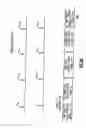 Fig. 08 - Indicia reading apparatus having image sensing integrated circuit