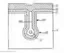 Fig. 01 - Transistor including bulb-type recess channel and method for fabricating the same