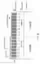 Fig. 07 - Semiconductor device and method of manufacturing semiconductor device