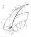 Fig. 07 - Motorcycle fender extension for drilless assembly