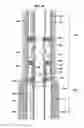 Fig. 02 - Aligning inductive couplers in a well