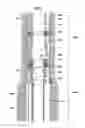 Fig. 09 - Aligning inductive couplers in a well