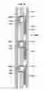 Fig. 22 - Aligning inductive couplers in a well