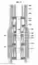 Fig. 28 - Aligning inductive couplers in a well