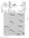 Fig. 08 - SYSTEM AND METHOD FOR VISUALIZING MULTI-DIMENSIONAL DATA USING SHAPE ATTRIBUTES