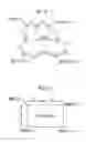 Fig. 09 - Projection display apparatus