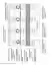 Fig. 19 - APPARATUS FOR IMAGE FORMATION