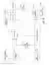 Fig. 09 - Check and U.S. bank note processing device and method