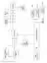 Fig. 10 - Check and U.S. bank note processing device and method