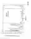 Fig. 37 - Check and U.S. bank note processing device and method