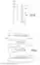 Fig. 82 - Check and U.S. bank note processing device and method