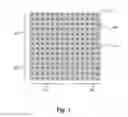 Fig. 02 - Two-dimensional surface normal slow-light photonic crystal waveguide optical phased array