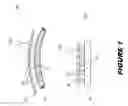 Fig. 02 - PHOTOCHROMIC OPTICAL ELEMENTS