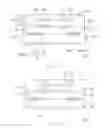 Fig. 03 - Electronic package structure