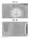 Fig. 07 - LIGHT GUIDE PLATE AND BACKLIGHT UNIT INCLUDING THE SAME