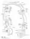 Fig. 09 - Soft-opening hinge and headphone set including same