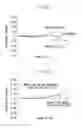 Fig. 06 - Image processing apparatus, image processing method, and program