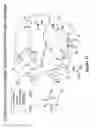 Fig. 43 - Peptides whose uptake by cells is controllable