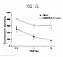 Fig. 22 - Photosensitizer-metal nanoparticle charge complex and composition containing the complex for photodynamic therapy or diagnosis