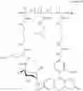 Fig. 28 - Vascular delivery systems