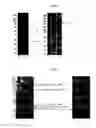 Fig. 02 - Conjugated proteins and peptides