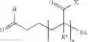 Fig. 41 - Terminally-functionalized conjugates and uses thereof