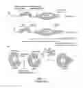 Fig. 02 - MODULATION OF SOCS EXPRESSION IN THERAPEUTIC REGIMENS