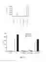 Fig. 07 - METHODS AND COMPOSITIONS TO REDUCE LIVER DAMAGE ASSOCIATED WITH CONDITIONS OR THERAPIES THAT AFFECT THE IMMUNE SYSTEM
