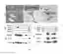 Fig. 17 - Wise/Sost nucleic acid sequences and amino acid sequences