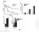Fig. 02 - ALPHA SYNUCLEIN TOXICITY