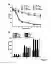 Fig. 04 - ALPHA SYNUCLEIN TOXICITY