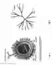Fig. 02 - INFLUENZA VIRUS COMPOSITIONS AND METHODS FOR UNIVERSAL VACCINES