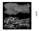 Fig. 06 - INFLUENZA VIRUS COMPOSITIONS AND METHODS FOR UNIVERSAL VACCINES