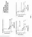 Fig. 08 - INFLUENZA VIRUS COMPOSITIONS AND METHODS FOR UNIVERSAL VACCINES