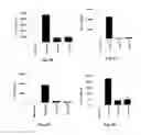 Fig. 03 - Vaccines comprising TB10.4