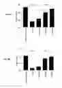 Fig. 04 - Vaccines comprising TB10.4