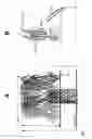 Fig. 02 - Recombinant alpha-hemolysin polypeptide of , having a deletion in the stem domain and heterologous sequences inserted